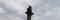 Kngen modern Iupiter's column