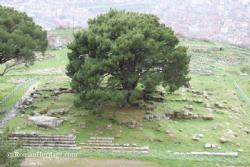 Altar Zeus