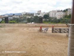 Circus Jordan Jordania Jerash Gerash