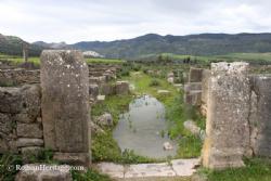 House of Aspe and house of Horseman and of Abside Casas