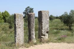 Beaucaire columns Miliaria