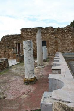 Tunisia Tunis Carthago Vila of the Birds Nymphaeum