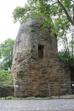 Drusus Stein