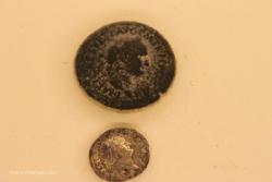Flavian dynasty