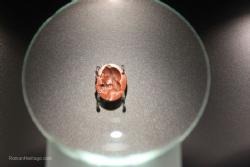 Roman Coins and jewels