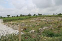 10 Central Insulae