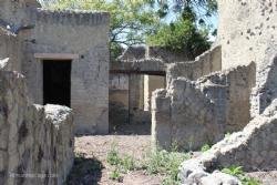 House with Garden (13)