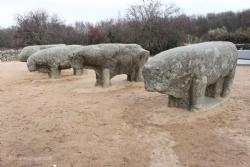 Guisando Bulls (celtiberian stone sculptures of Bulls)