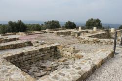 Macellum Market