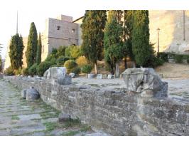 Caboro District Roman Basilica (8) (Copiar)