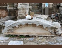 Turkey Turquia Ephesus Efeso Nymphaeum Trajan-s Trajano -3-.JPG