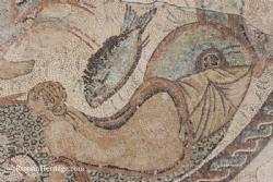 Museo de Ecija Mosaicos