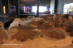 Museo de los muelles