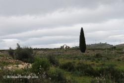 Volubilis Varios