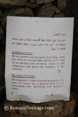 casa del perro