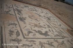 Casa de Neptuno mosaico 