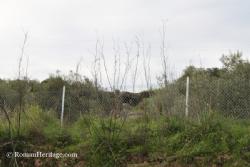 Alcolea del Ro