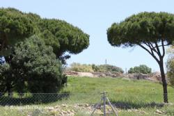 San roque Carteia