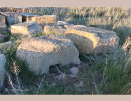 Alfaro Gracurris Roman Archeological Site La Rioja Spain (14) (Copiar)
